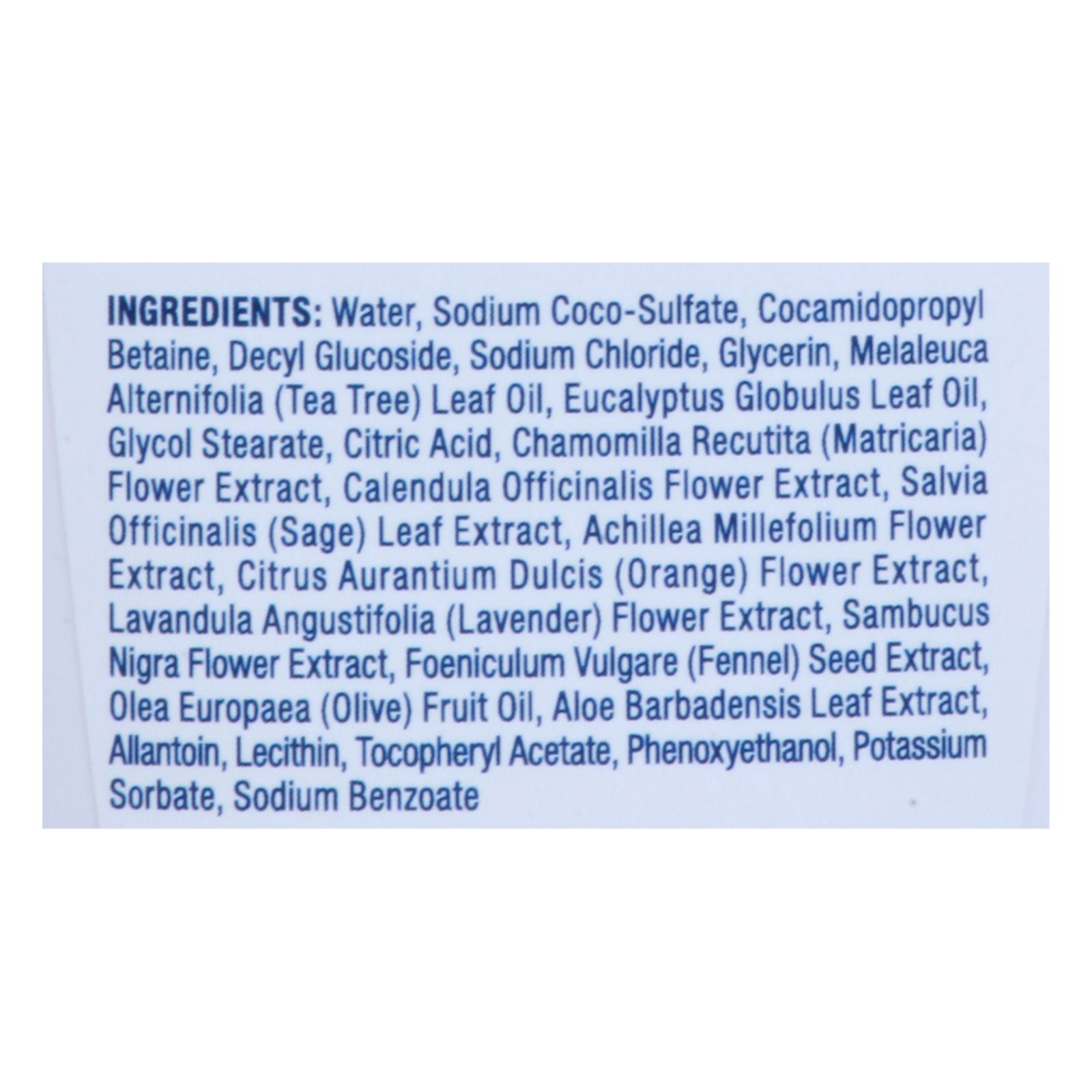 Kiss My Face - Hand Soap Tea Tree Mst - 1 Each-9 FZ