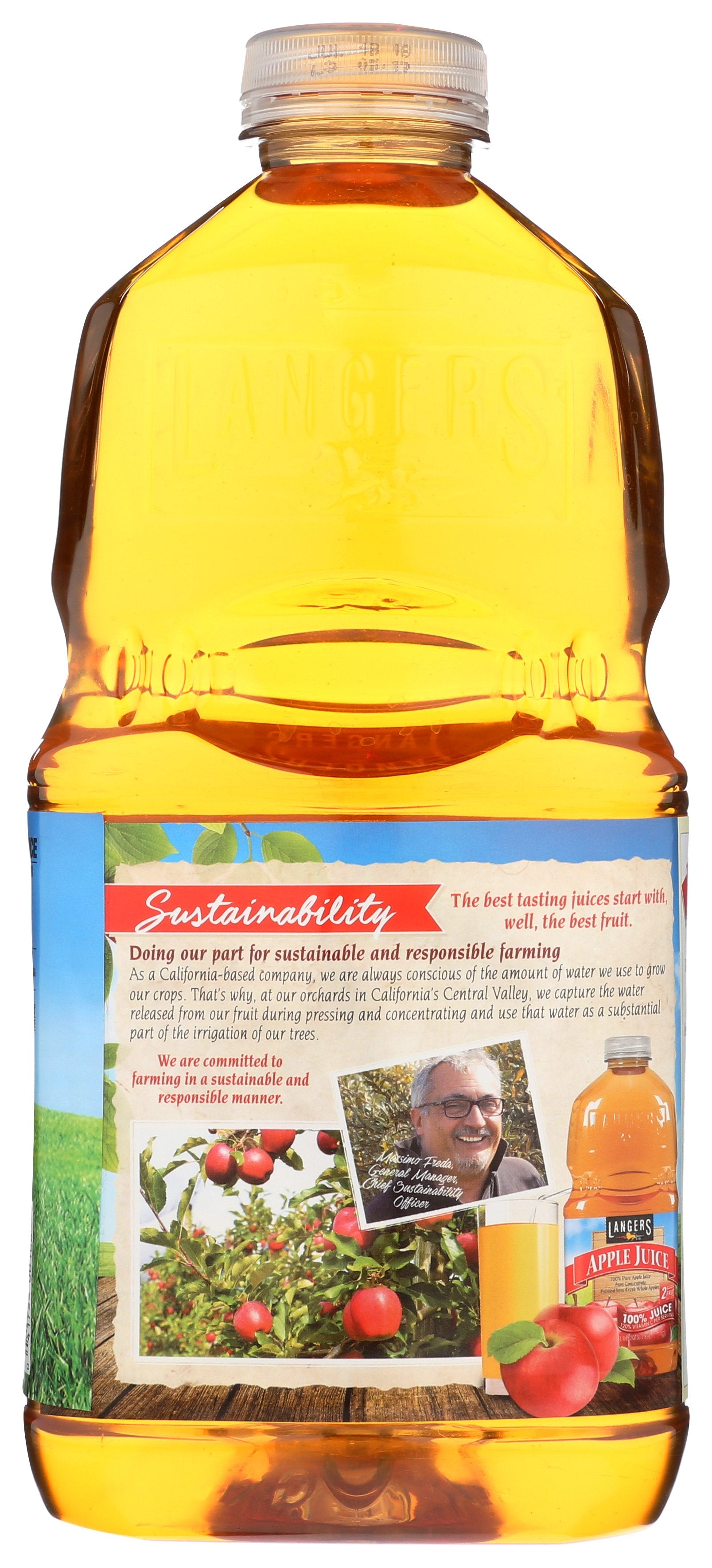 LANGERS JUICE APPLE 100% - Case of 8