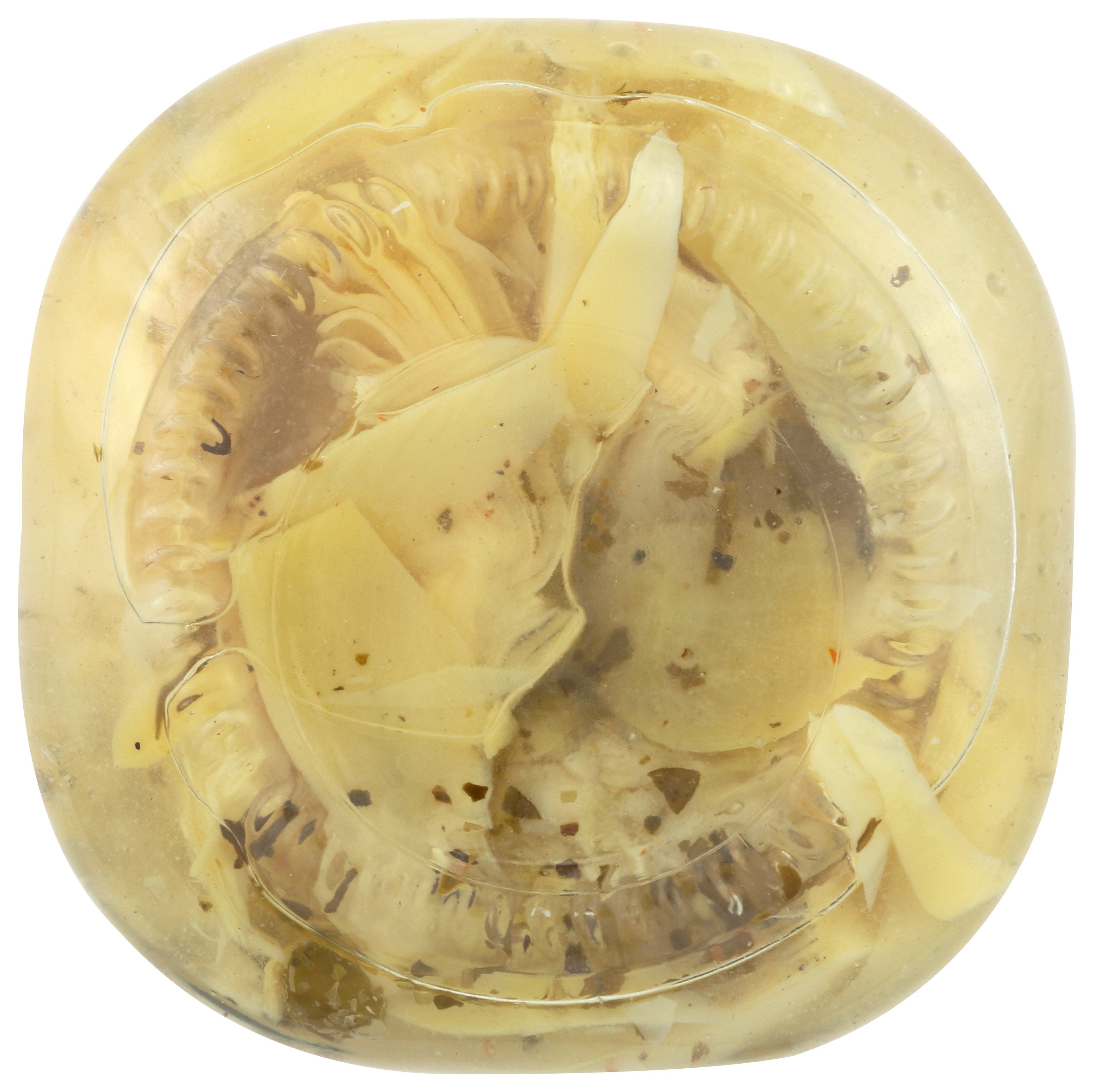 DELALLO ARTICHOKE MRNTD - Case of 12