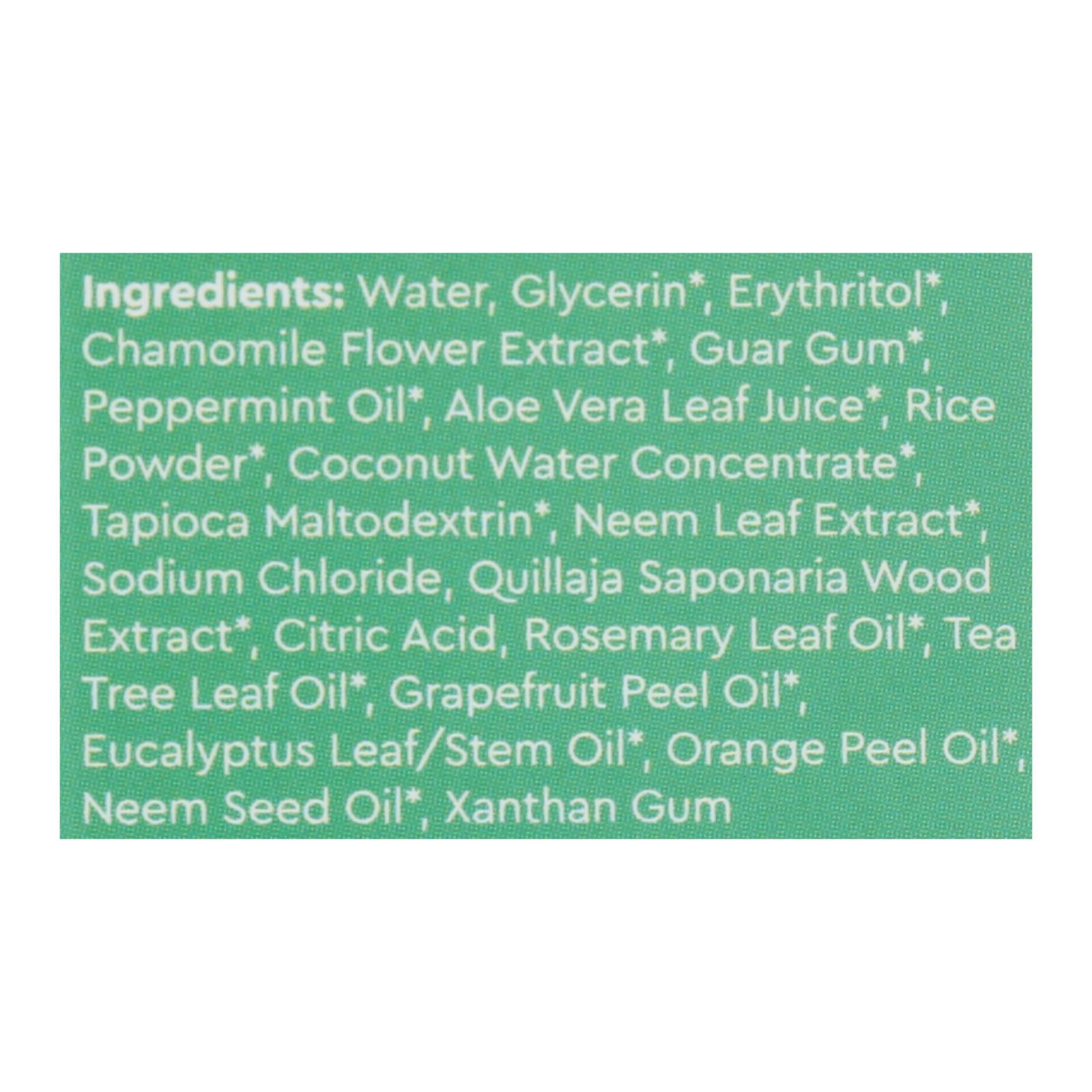 Radius Whitening Mint Aloe Neem Toothpaste - 1 Each - 3 Oz