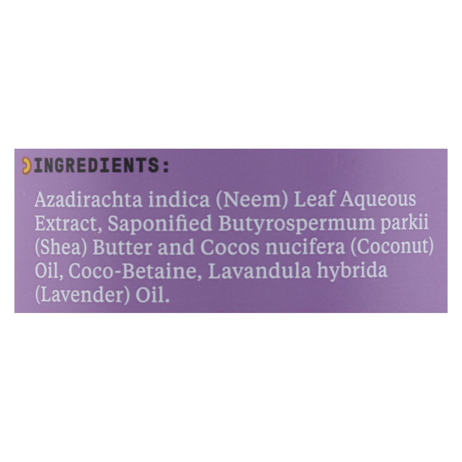 Alaffia - Everyday Body Wash - Shea Lavender - 32 Oz.