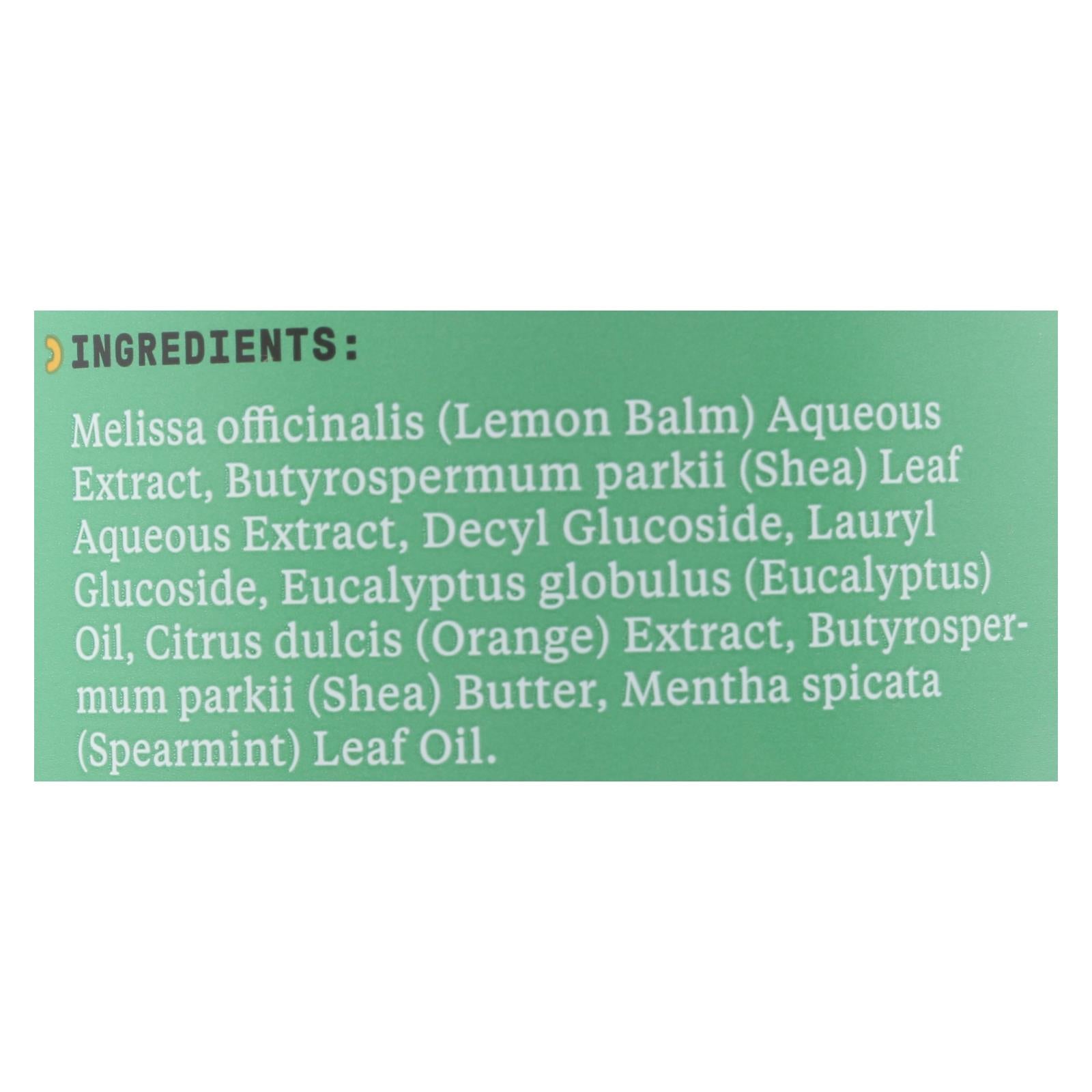 Alaffia Everyday Shea Cold Comforting Eucalyptus Babies Up Bubble Bath - 1 Each - 32 FZ