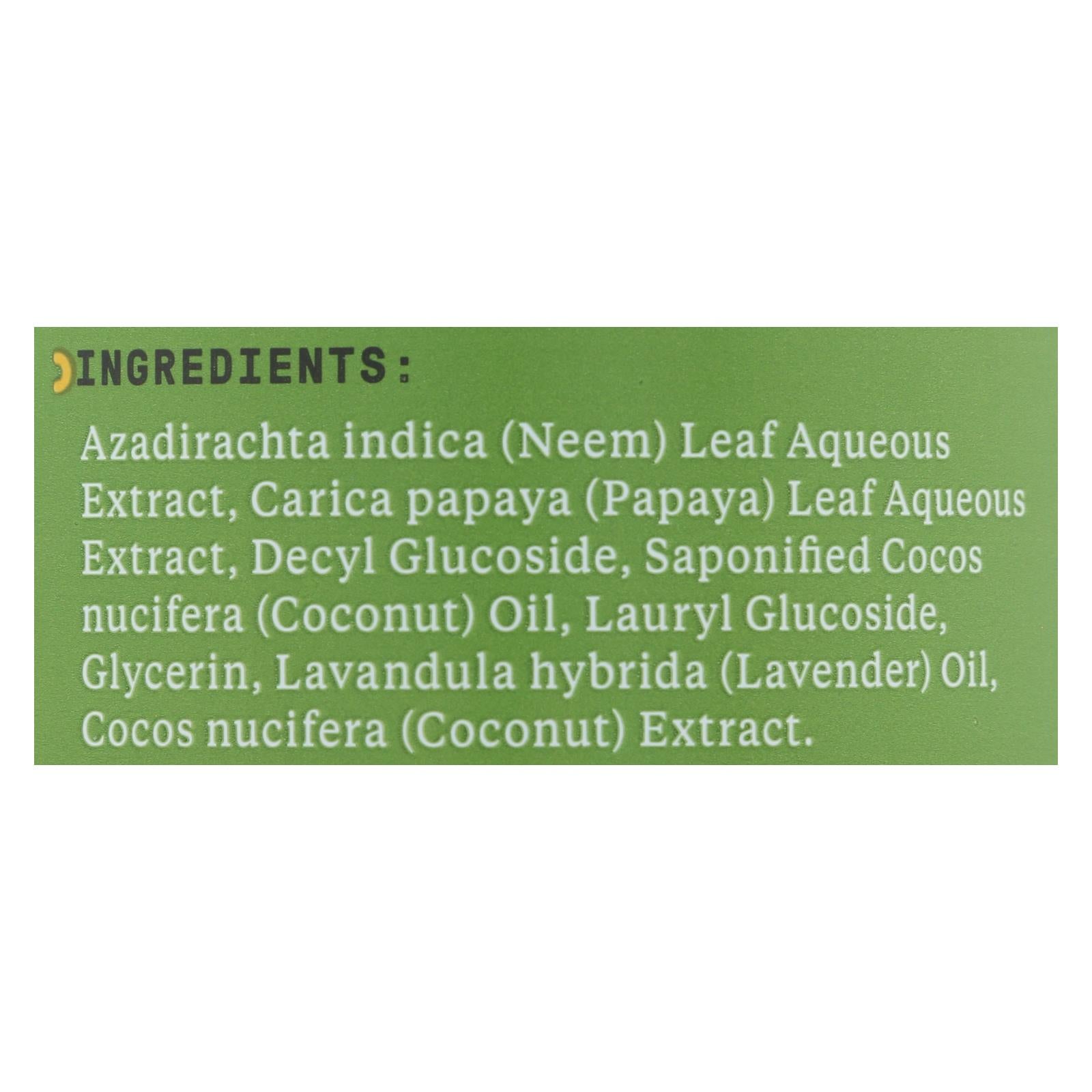 Alaffia Coconut Cleansing Face Wash - 1 Each - 12 Fz