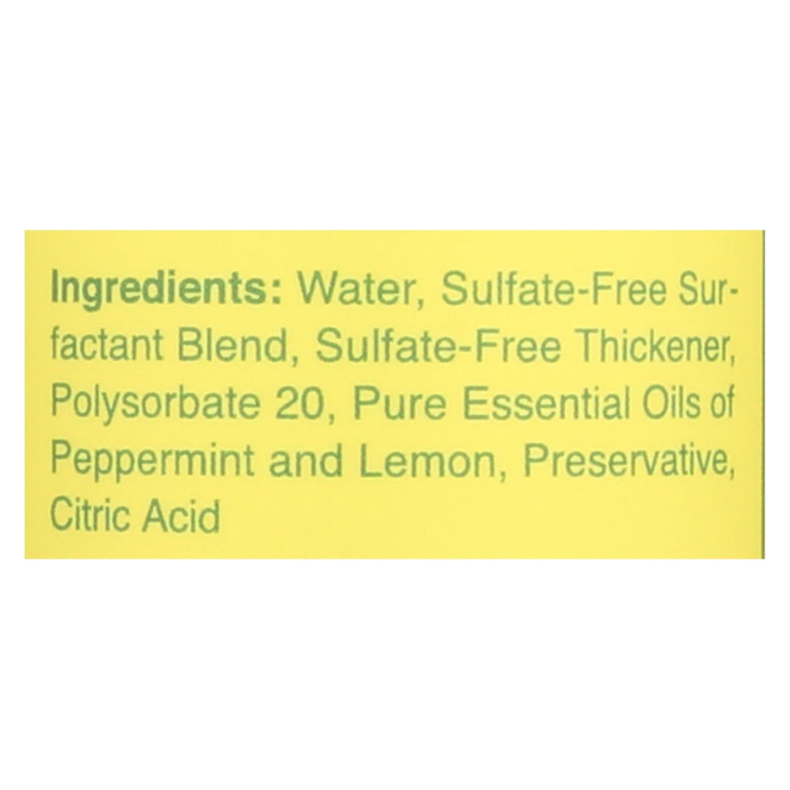 Rebel Green Dish Soap - Peppermint And Lemon - Deluxe - Case Of 4 - 16 Fl Oz