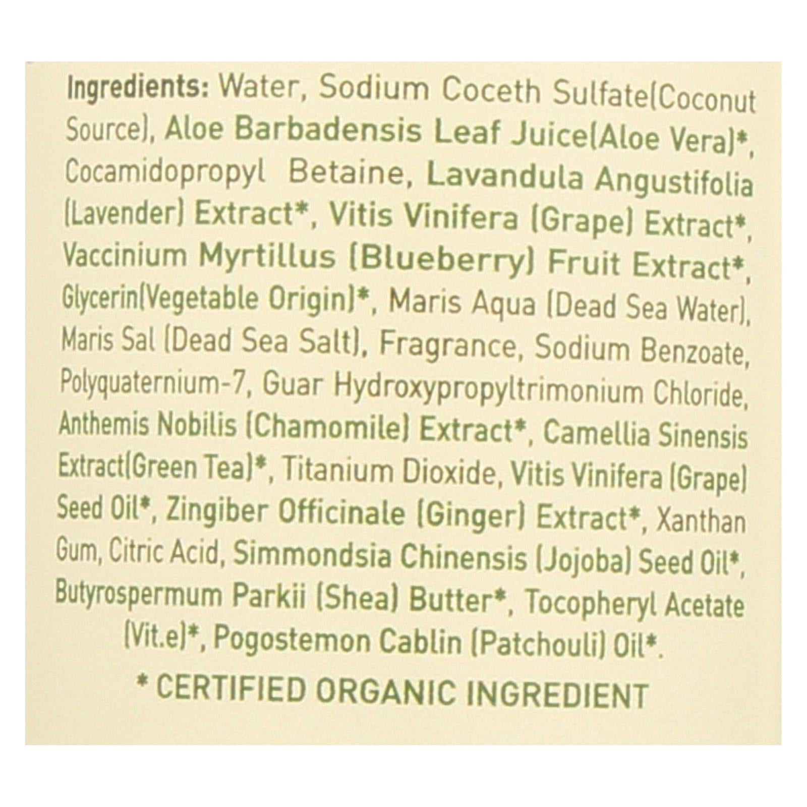 Ecolove Shampoo - Purple Fruit Shampoo For Colored And Very Dry Hair - Case Of 1 - 17.6 Fl Oz.