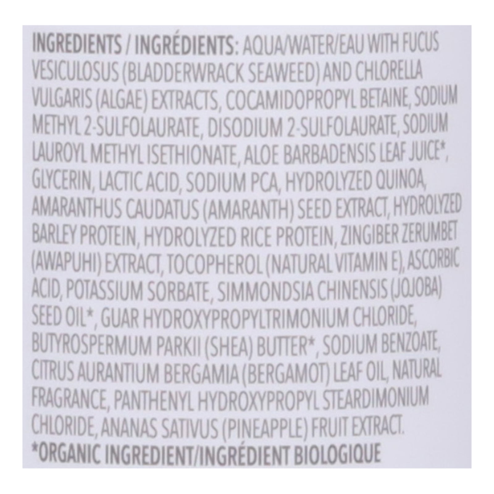 The Seaweed Bath Co - Gloss Shampoo Ssalt Brgmt - EA of 1-12 FZ