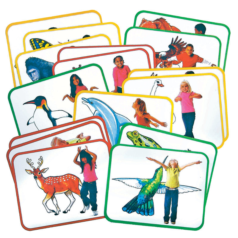 ROYLCO - Body Poetry: Animal Action Cards, Pack of 16
