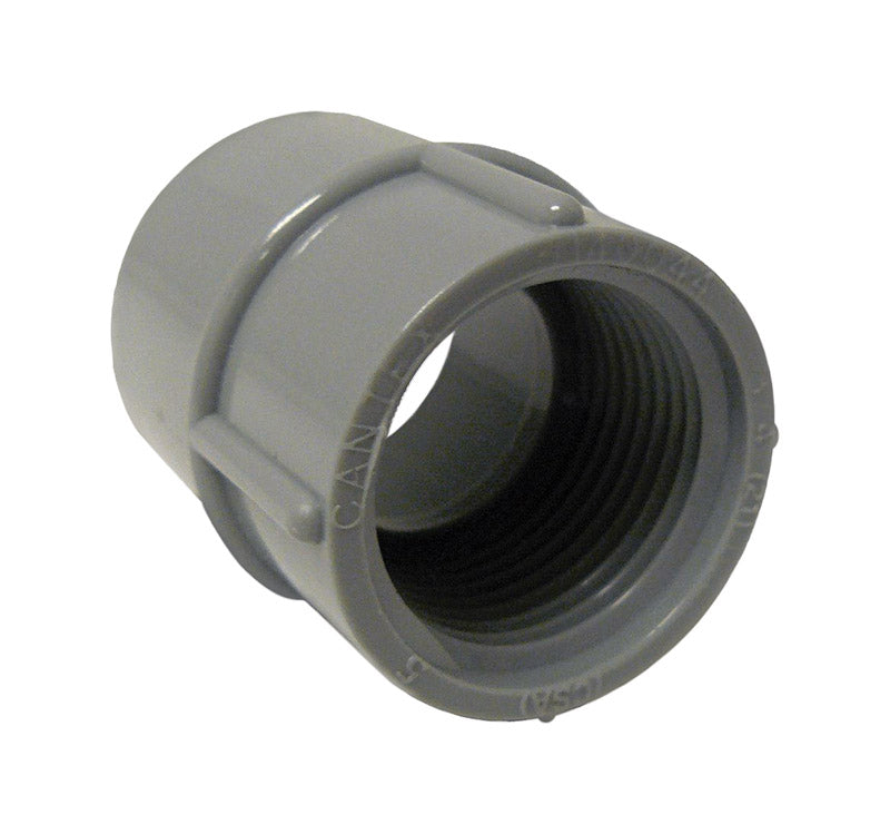 CANTEX - Cantex 1 in. D PVC Female Adapter For PVC 1 pk