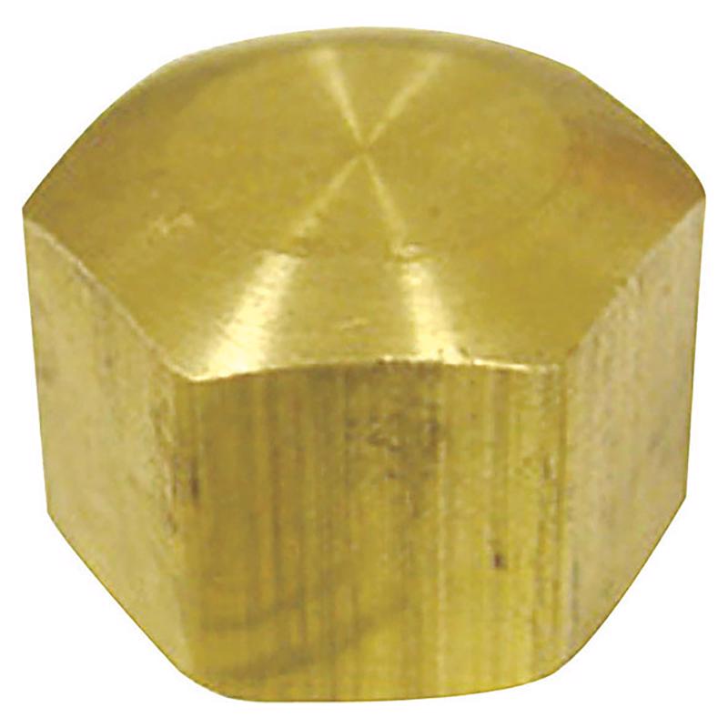 0 - 1/4 in. Compression Brass Cap - Case of 5