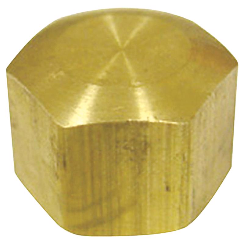 0 - 1/2 in. Compression Brass Cap - Case of 5