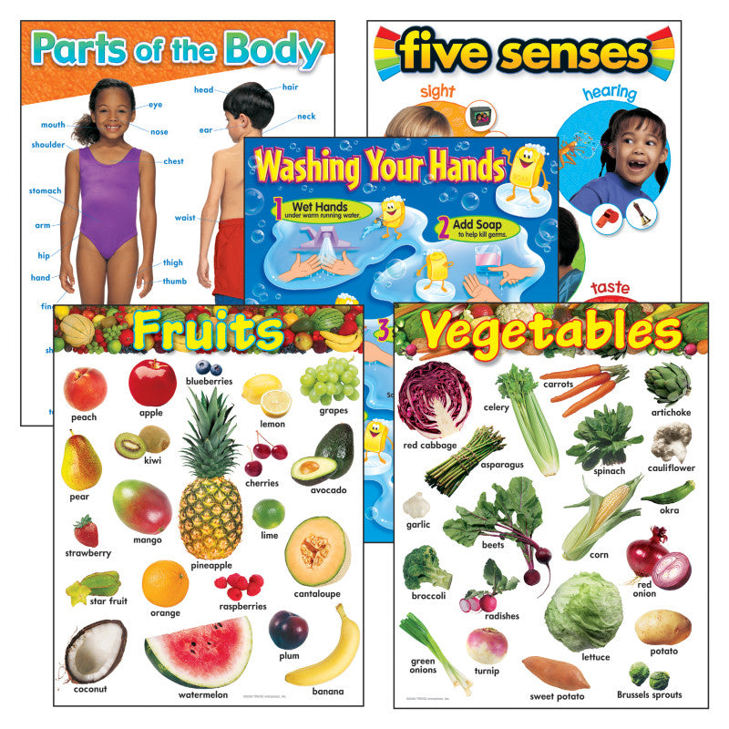 TREND - Healthy Living Learning Charts Combo Pack, Set of 5