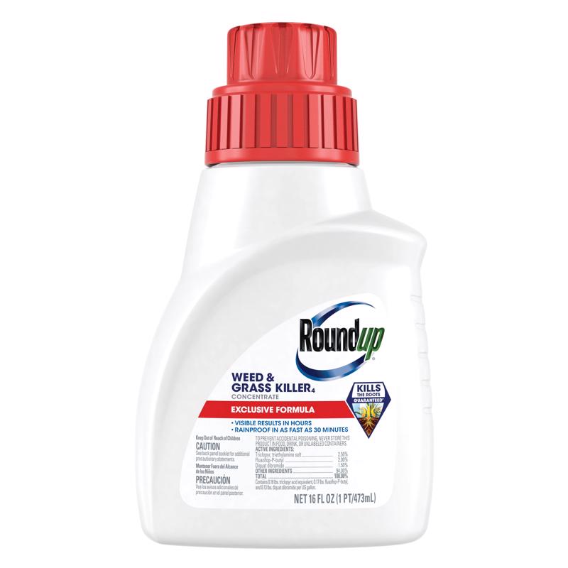 ROUNDUP - Roundup Weed and Grass Killer Concentrate 16 oz