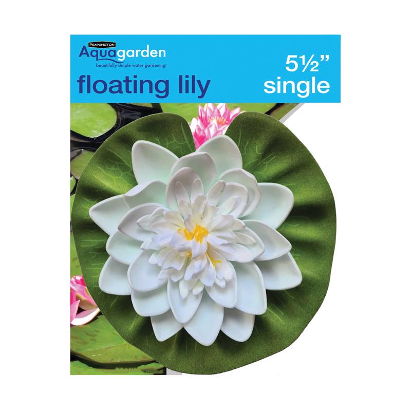PENNINGTON - Pennington Aquagarden 5.5 in. Floating Lily Pad