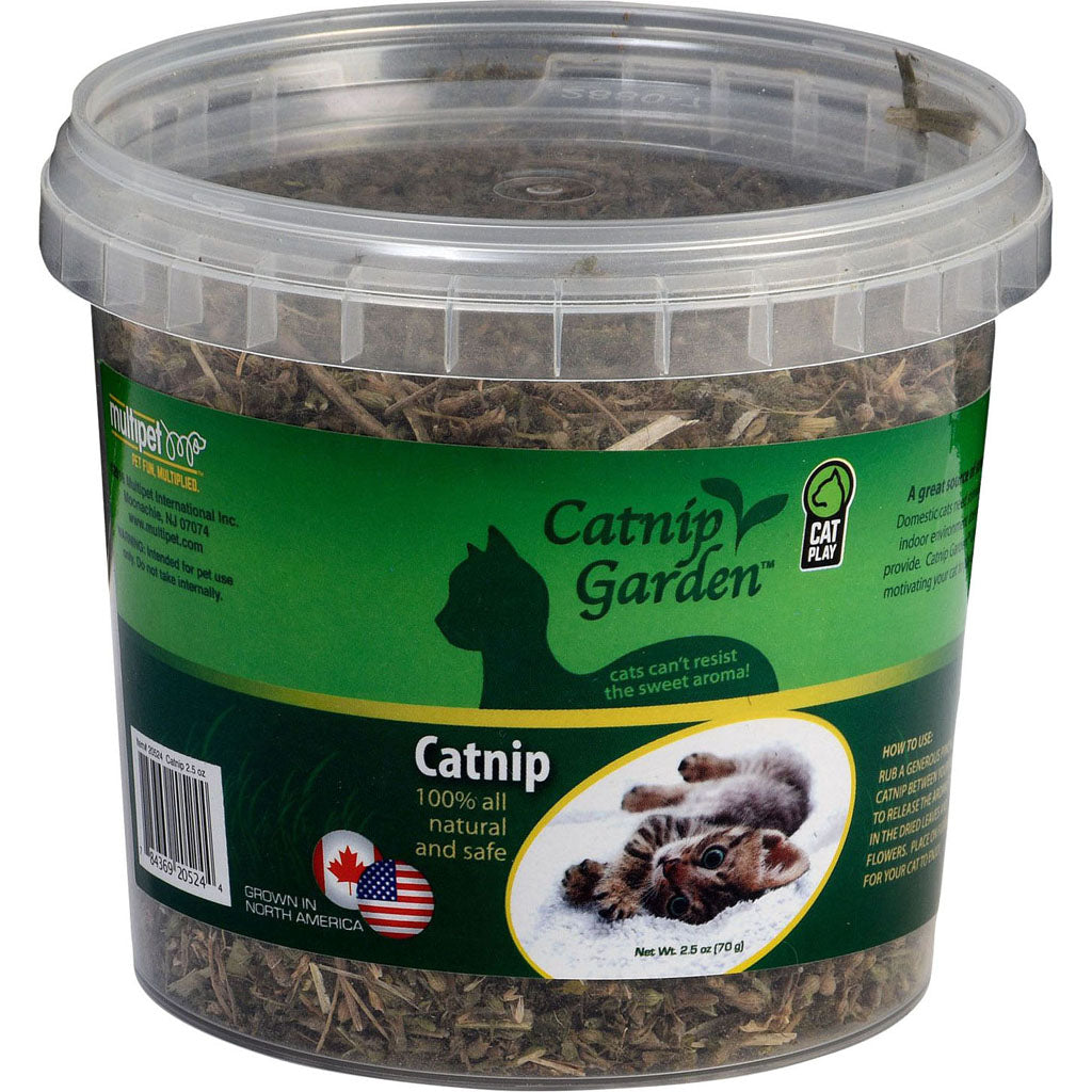 Multipet Catnip Garden Catnip Cup (GREEN, 2.5 OZ)