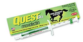 Quest Horse Dewormer Gel (.4 OZ)