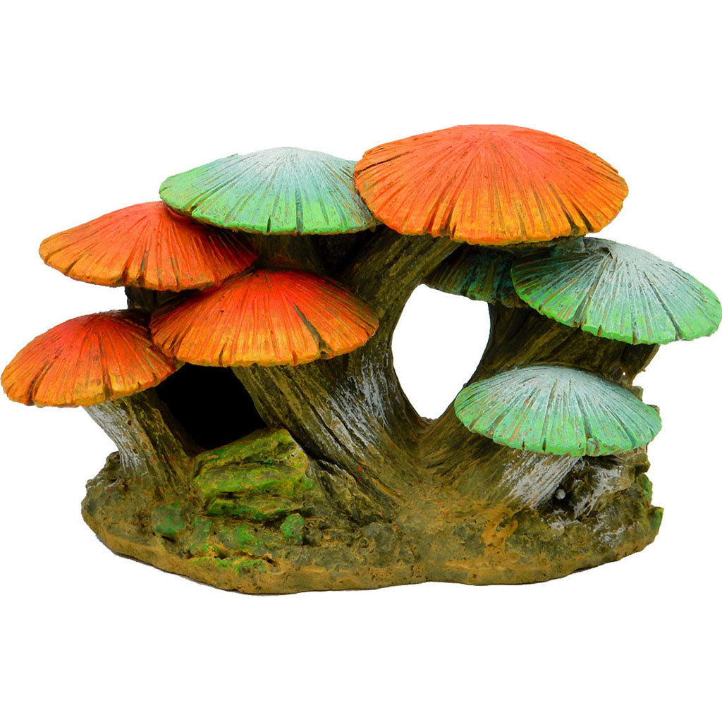 Exotic Envvironments Mushroom Garden (GLOW, SM)