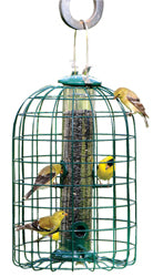 Squirrel-Resistant Caged Tube Feeder (CLEAR/GREEN, 1.25 LB CAP)