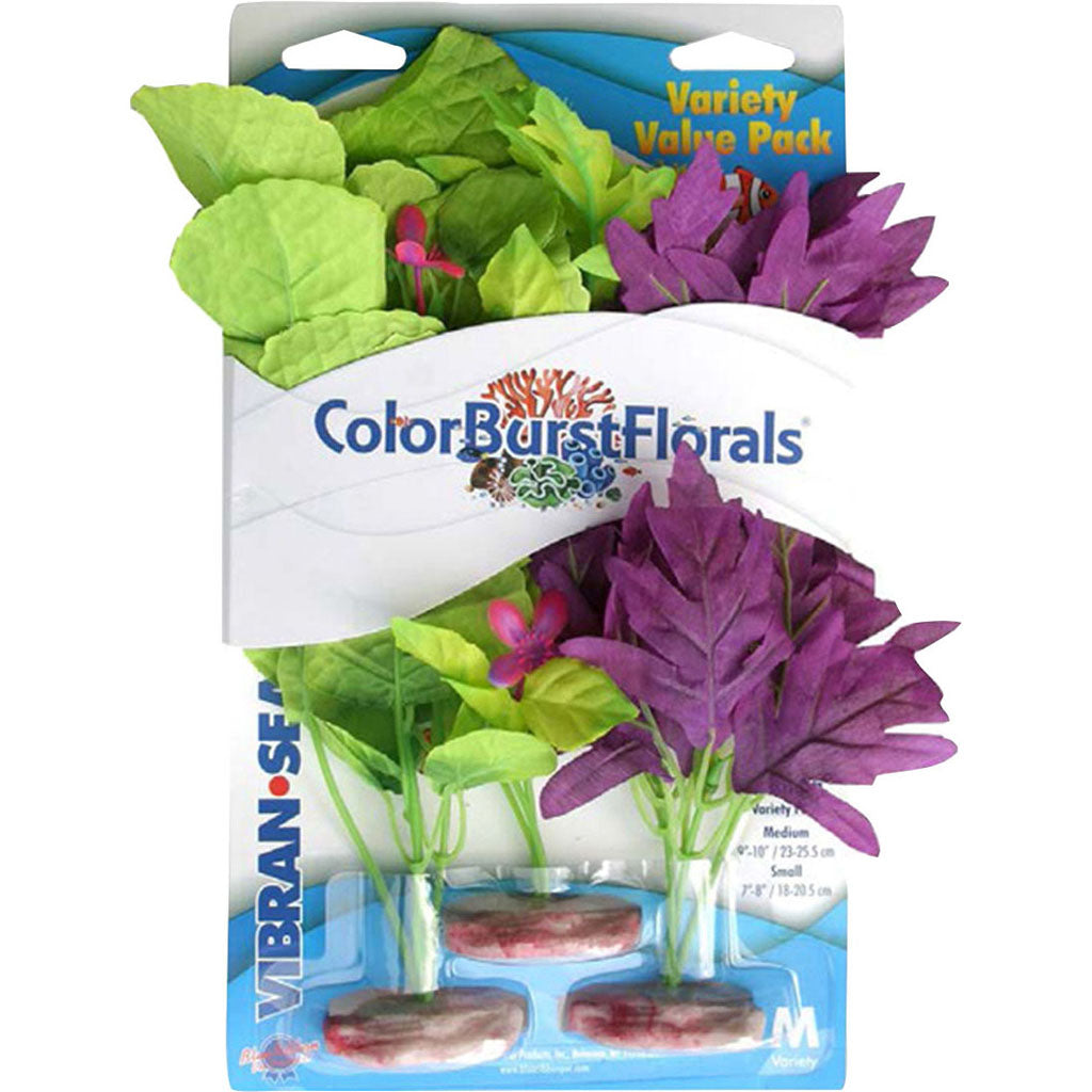 Color Burst Florals Amazon Flowering Cluster (MULTI, MD)