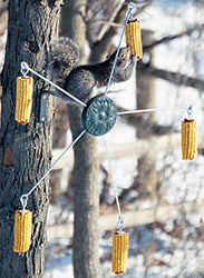 Squirrel-Go-Round Cob Corn Feeder (GREEN, 5 EARS OF CORN)