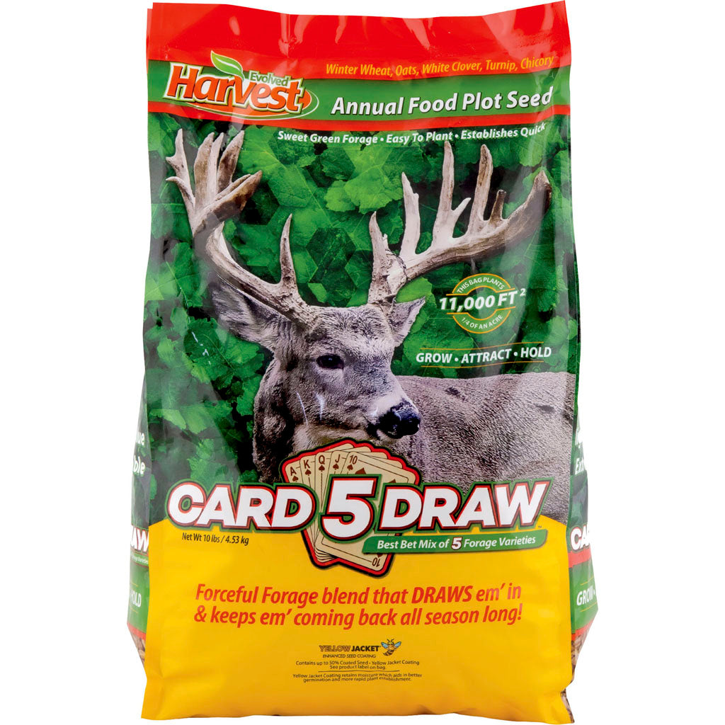 Evolved 5 Card Draw Annual Seed Plot (10 LB)