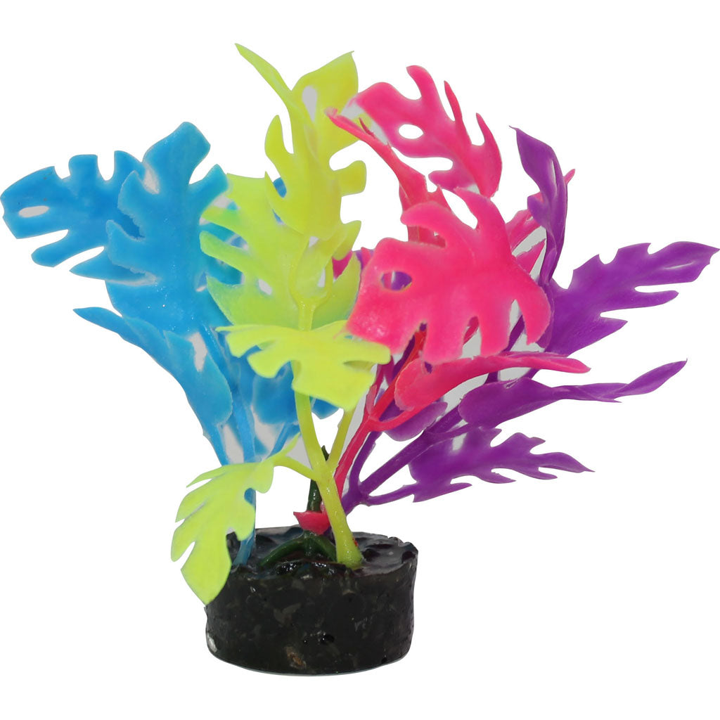 Color Burst Florals Philo Leaf Plant (GLOW, 1.25X1.25X3.25)