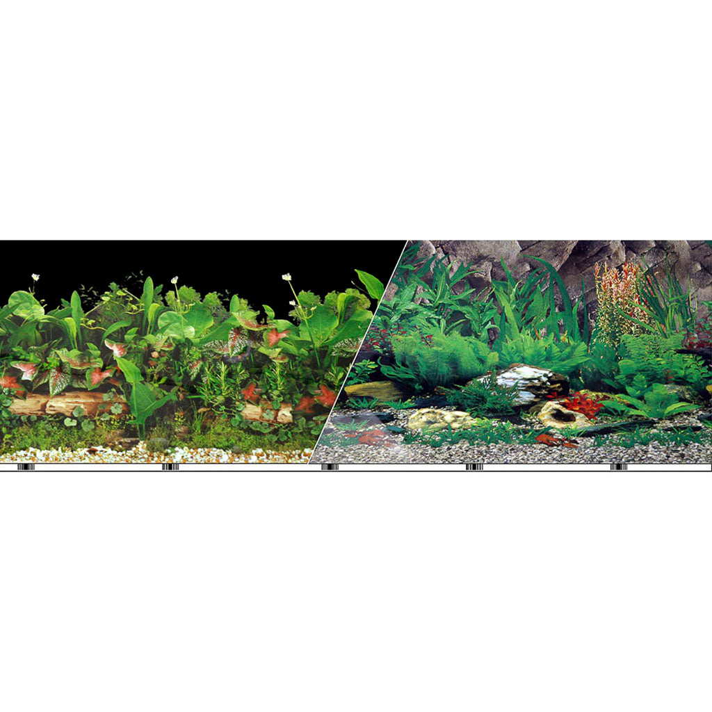 Double-Sided Tropical/Freshwater Background (24 IN X 50 FT)