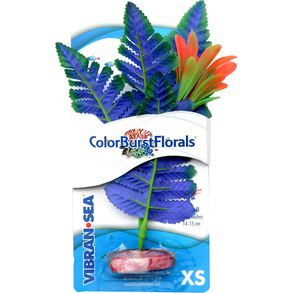 Color Burst Florals Butterfly Sword Silk Plant (BLUE, XS)