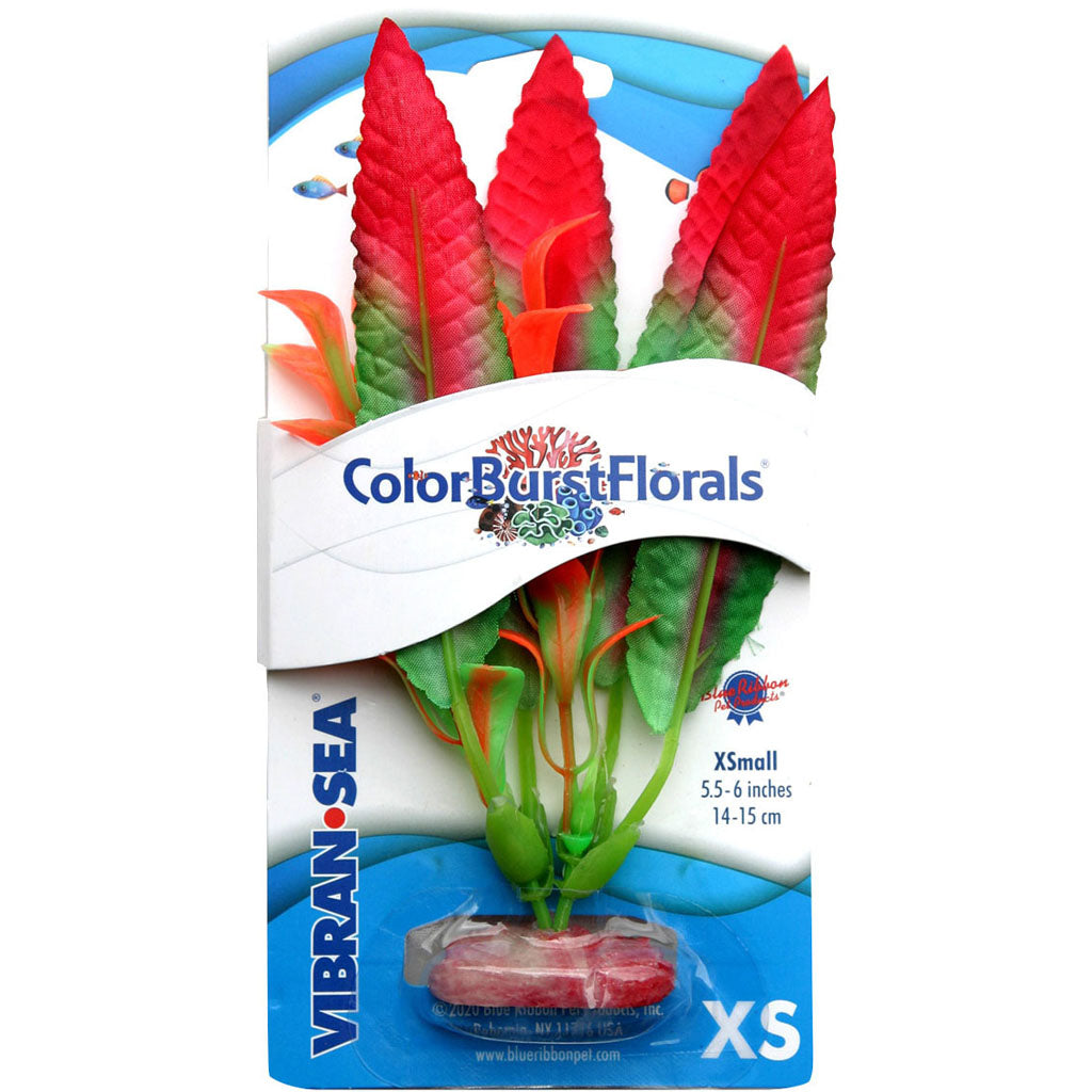 Color Burst Florals Crispus Silk Style Plant (RED, XS)