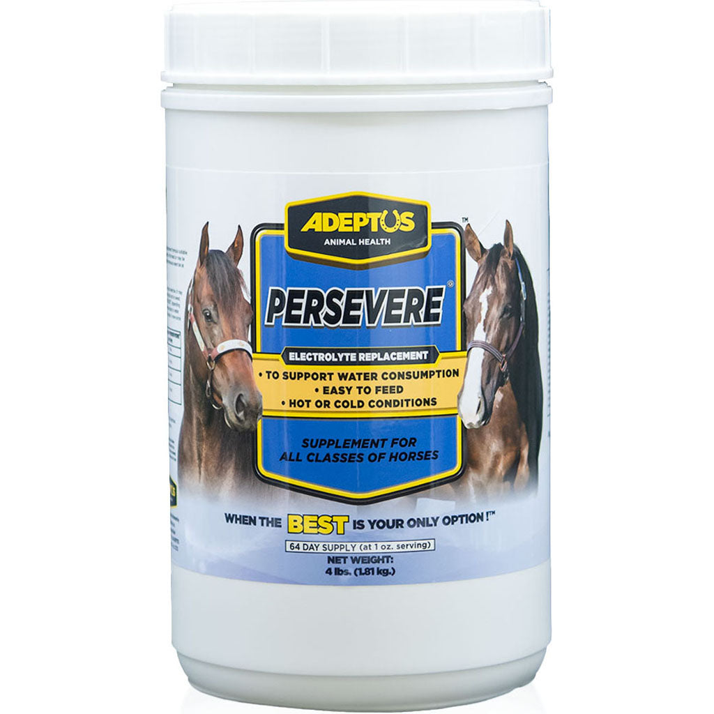 Adeptus Persevere Electrolyte (4 LB)
