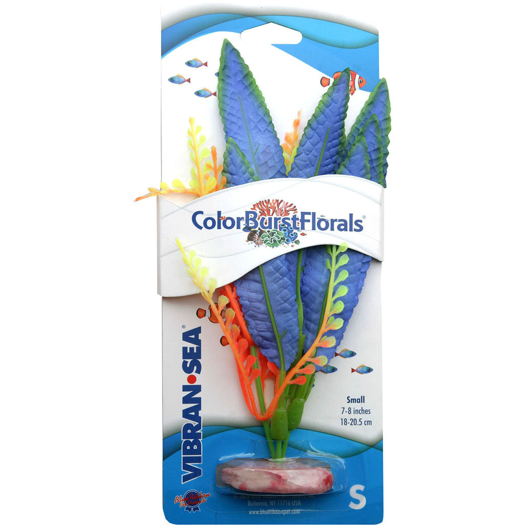 Color Burst Florals Crispus Silk Style Plant (BLUE, SM)