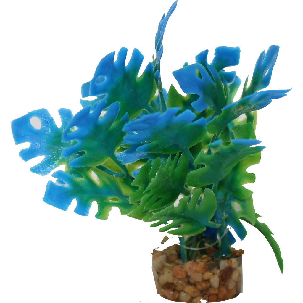 Color Burst Florals Philo Leaf Plant (BLUE, 1.25X1.25X3.25)