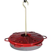 Classic Plastic Hummingbird Dish Feeder (RED, 12 OZ CAP)