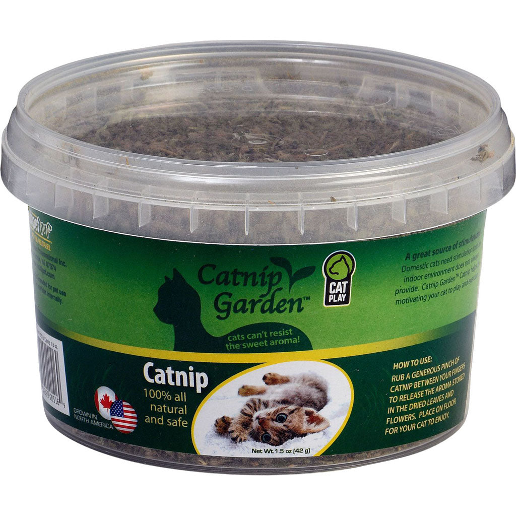 Multipet Catnip Garden Catnip Cup (GREEN, 1.5 OZ)