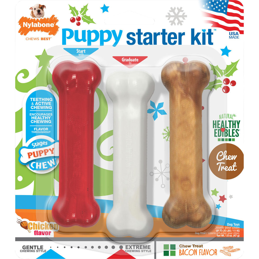 Nylabone Holiday Puppy Starter Kit Out-Season 0228 (CHICKEN BACON, REGULAR)