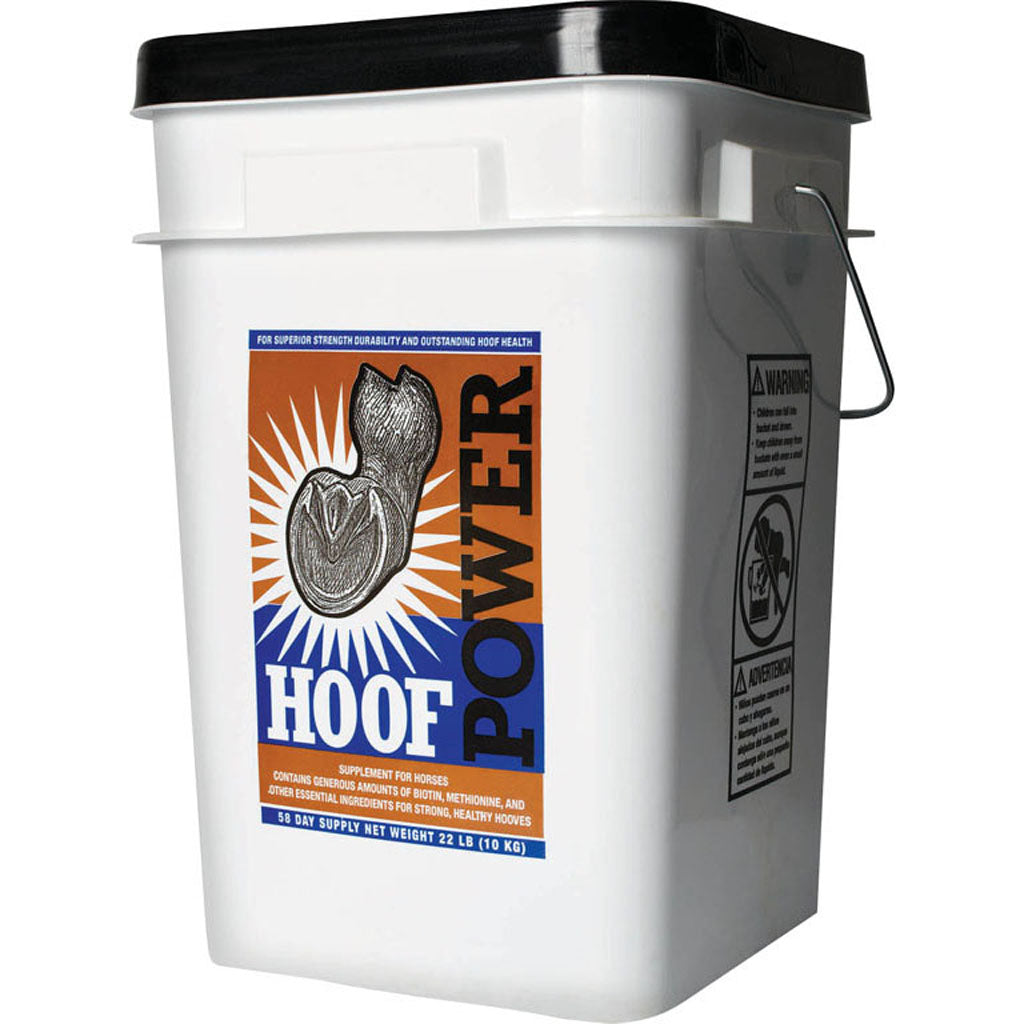 Mustad Hoof Power (22 LB)