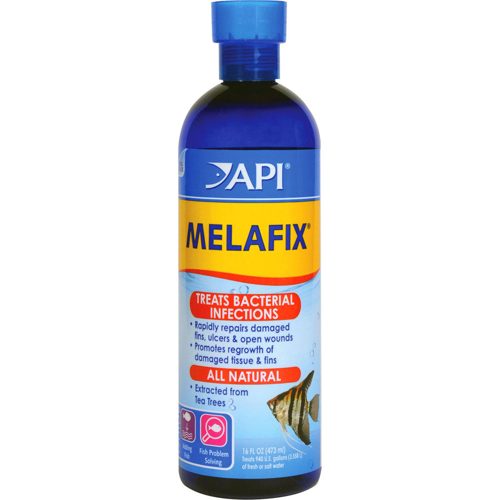 Api Melafix Fish Remedy (16 OZ)