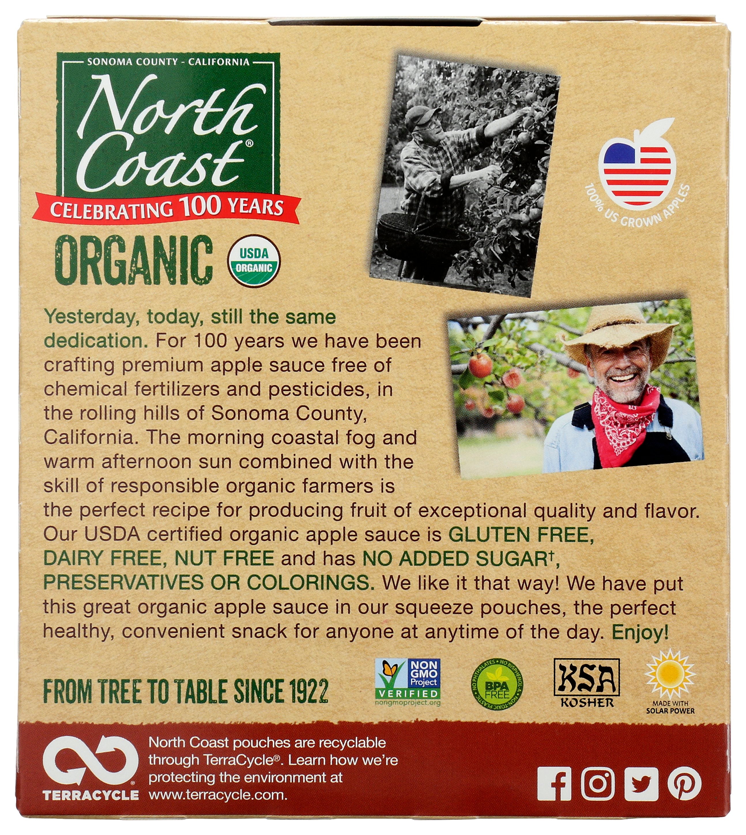 NORTH COAST APLESAUC CNN 4PK PCH ORG - Case of 6
