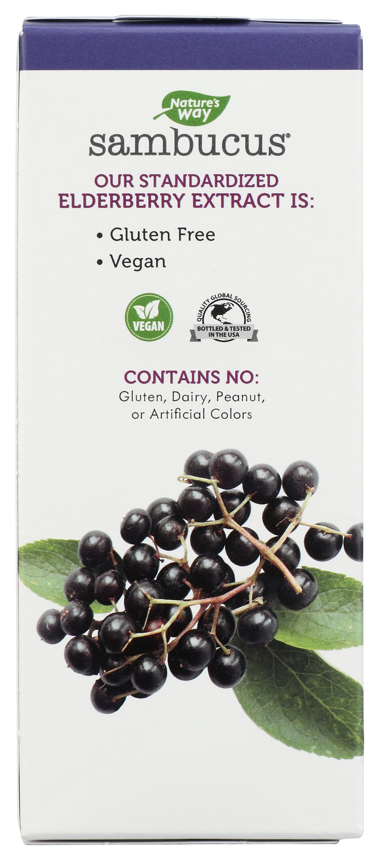 NATURES WAY SAMBUCUS SYRUP 4OZ - Case of 6