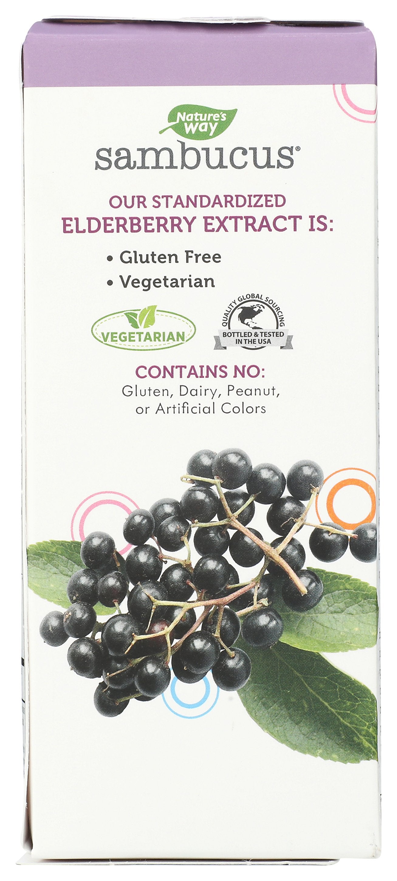 NATURES WAY SAMBUCUS FOR KIDS SYRUP 4OZ - Case of 6
