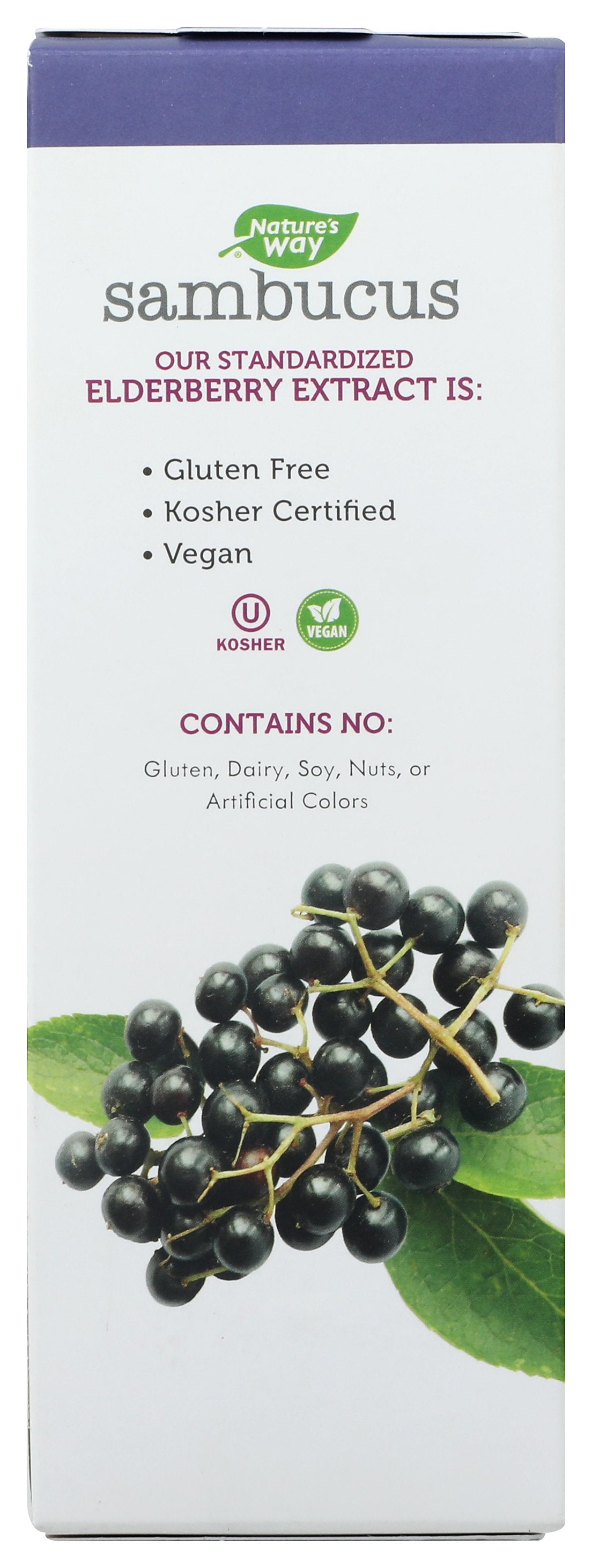 NATURES WAY SAMBUCUS SYRUP 8OZ - Case of 6