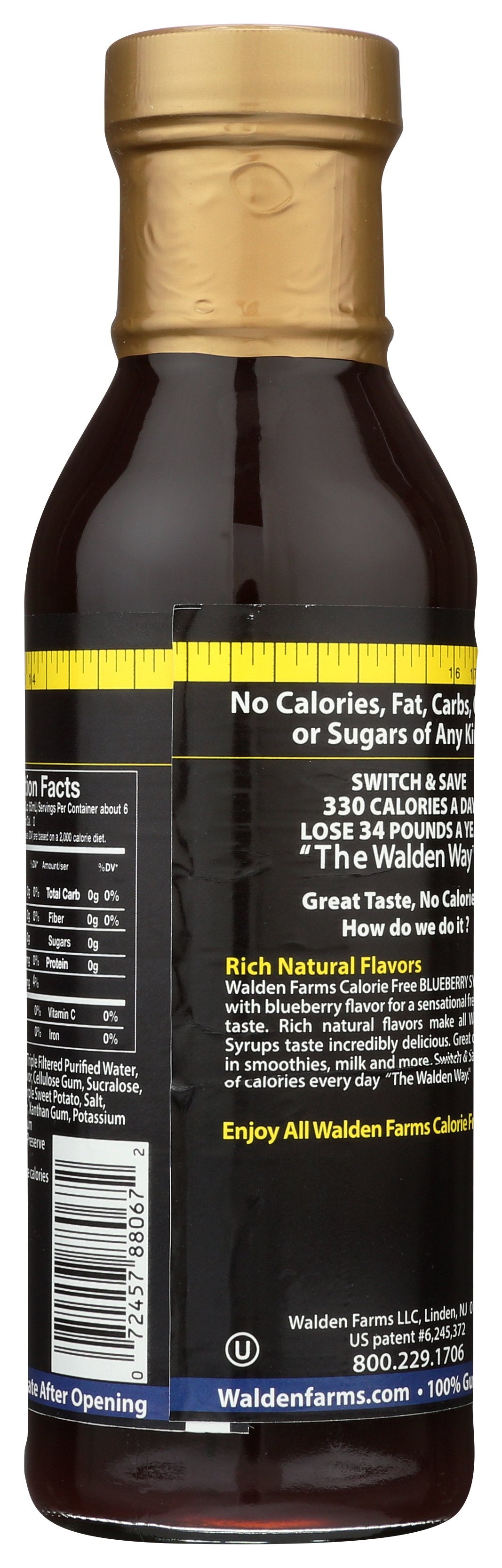 WALDEN FARMS SYRUP CF BLUBRY - Case of 6