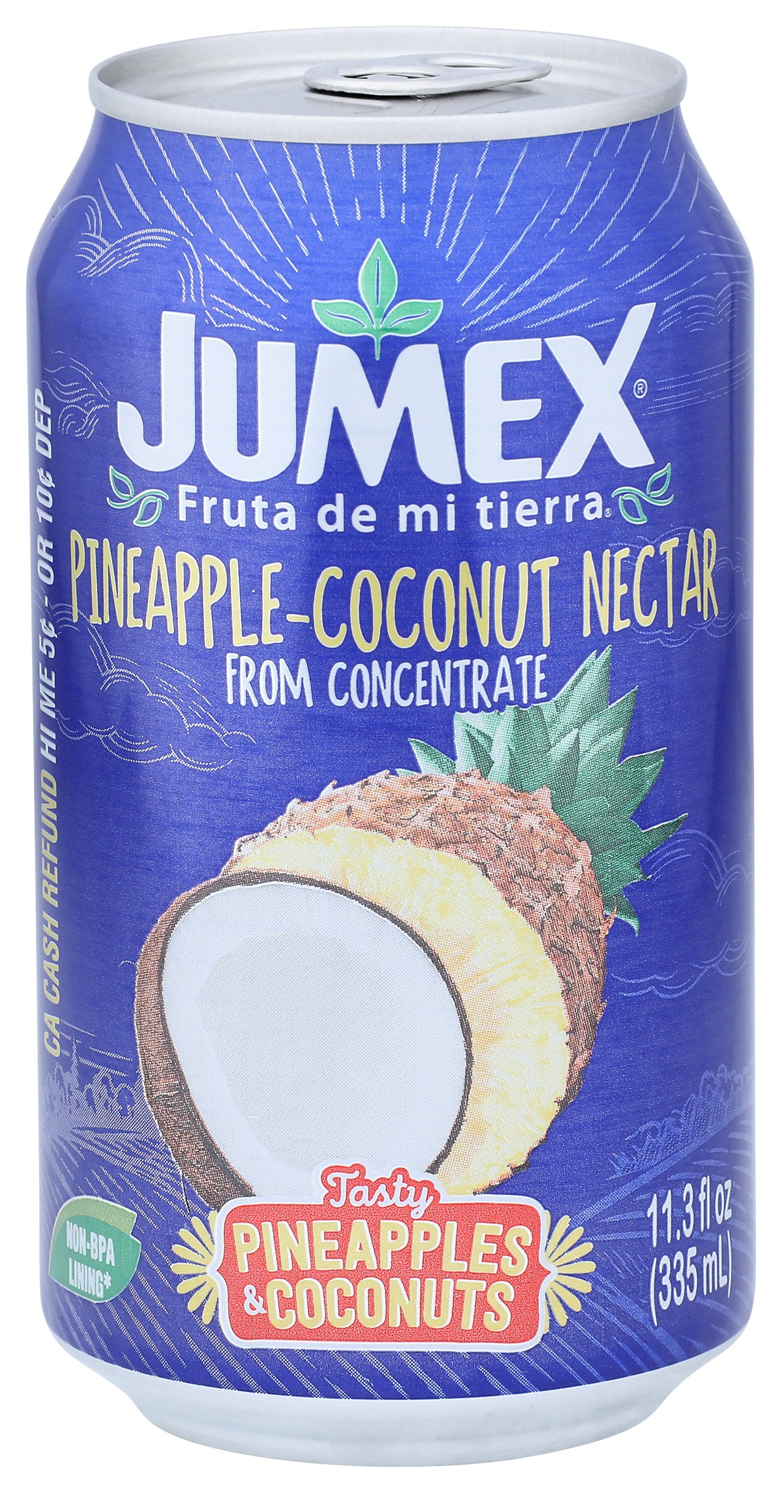 JUMEX NECTAR COCONUT PNNPPL - Case of 24