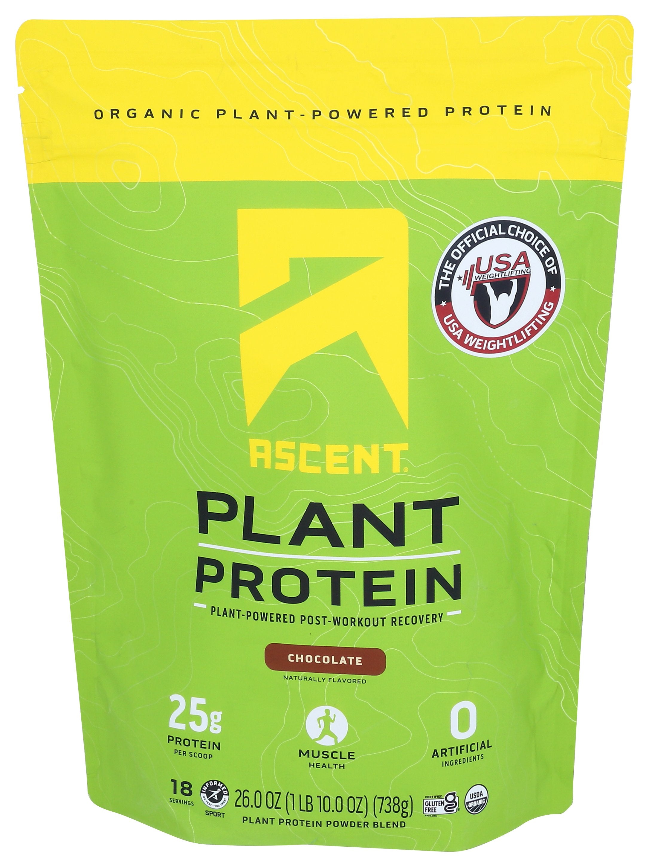 ASCENT PLANT PROTEIN CHOCOLATE