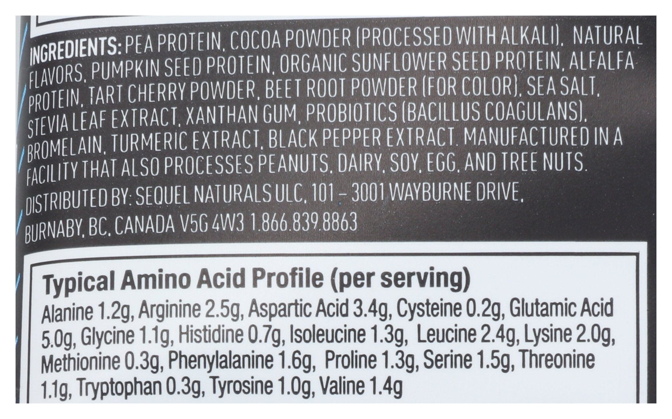 VEGA SPORT PROTEIN CHOC PKT - Case of 12