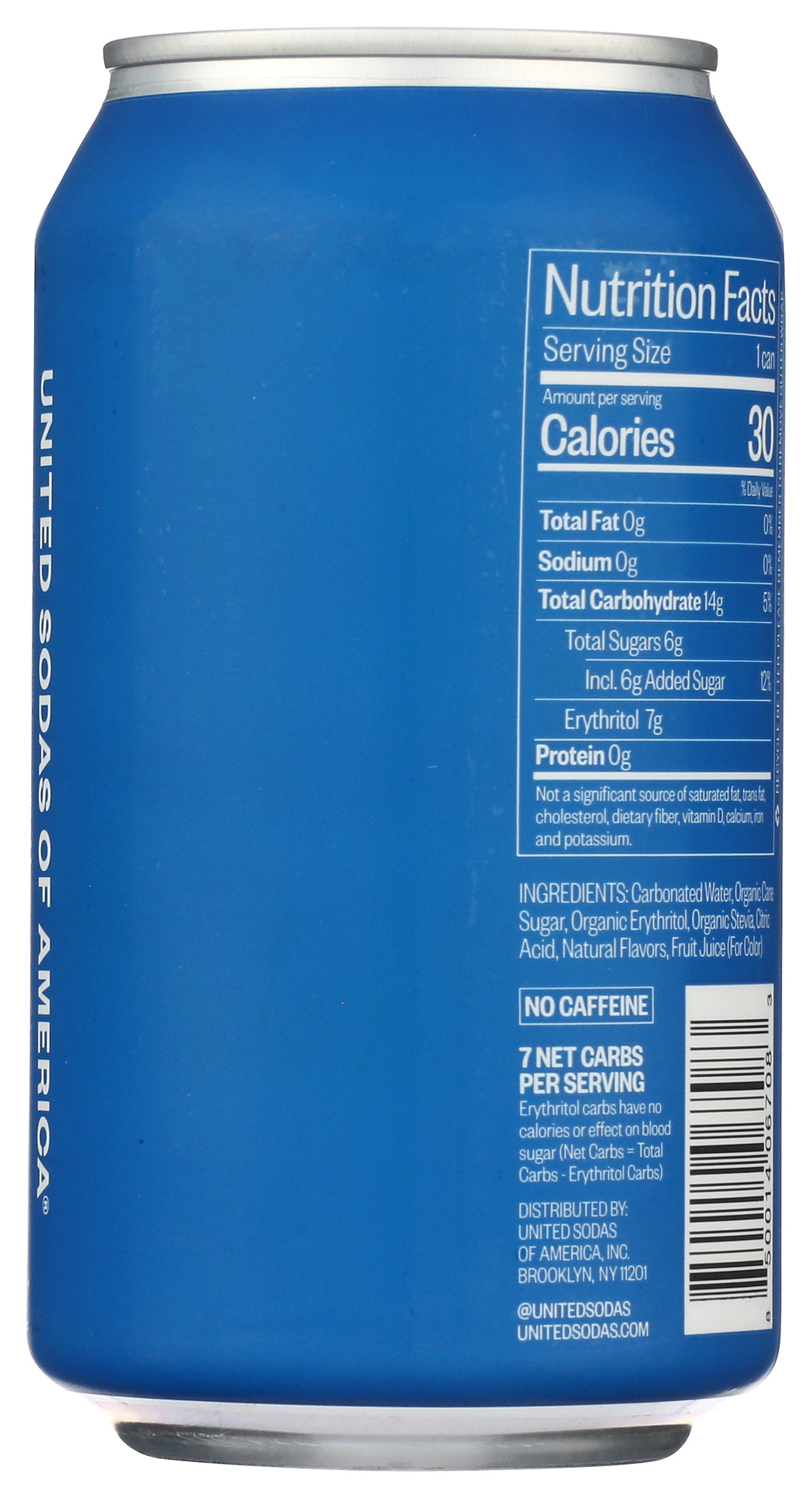 UNITED SODAS OF AMERICA SODA SOUR BLUEBERRY - Case of 12