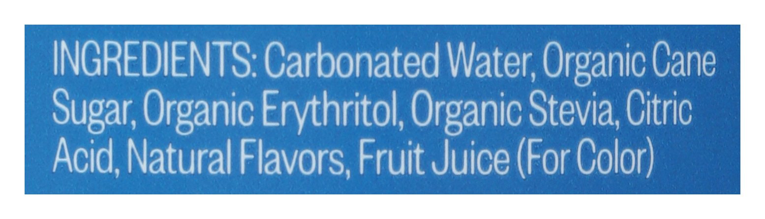 UNITED SODAS OF AMERICA SODA SOUR BLUEBERRY - Case of 12