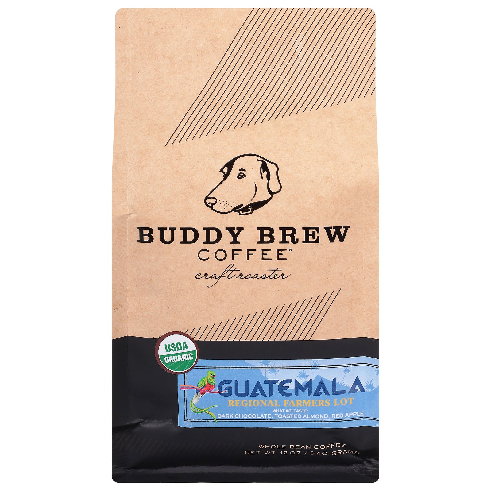 Buddy Brew - Coffee Whole Bean Guatemala - Case of 6-12 OZ