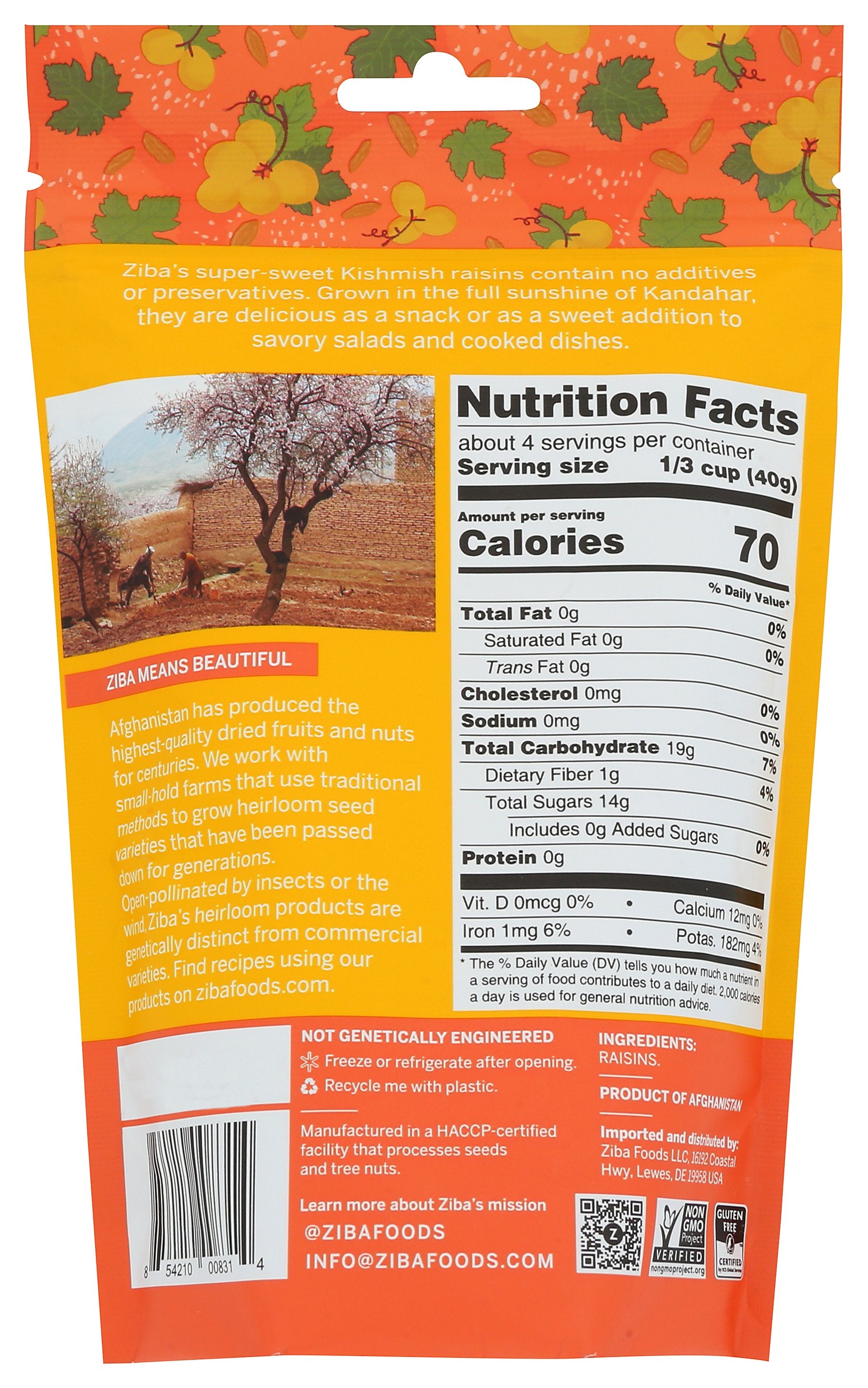 ZIBA FOODS RAISINS KISHMISH - Case of 6