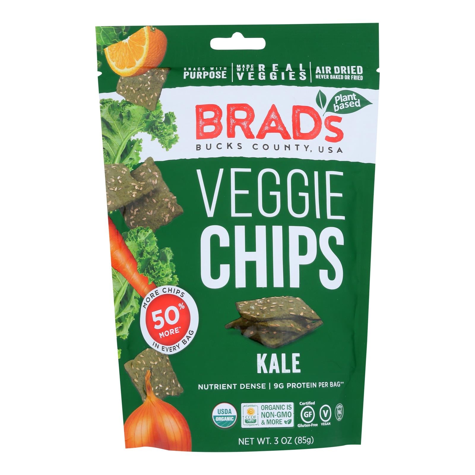 Brad's Plant Based - Raw Chips - Kale - Case Of 12 - 3 Oz.