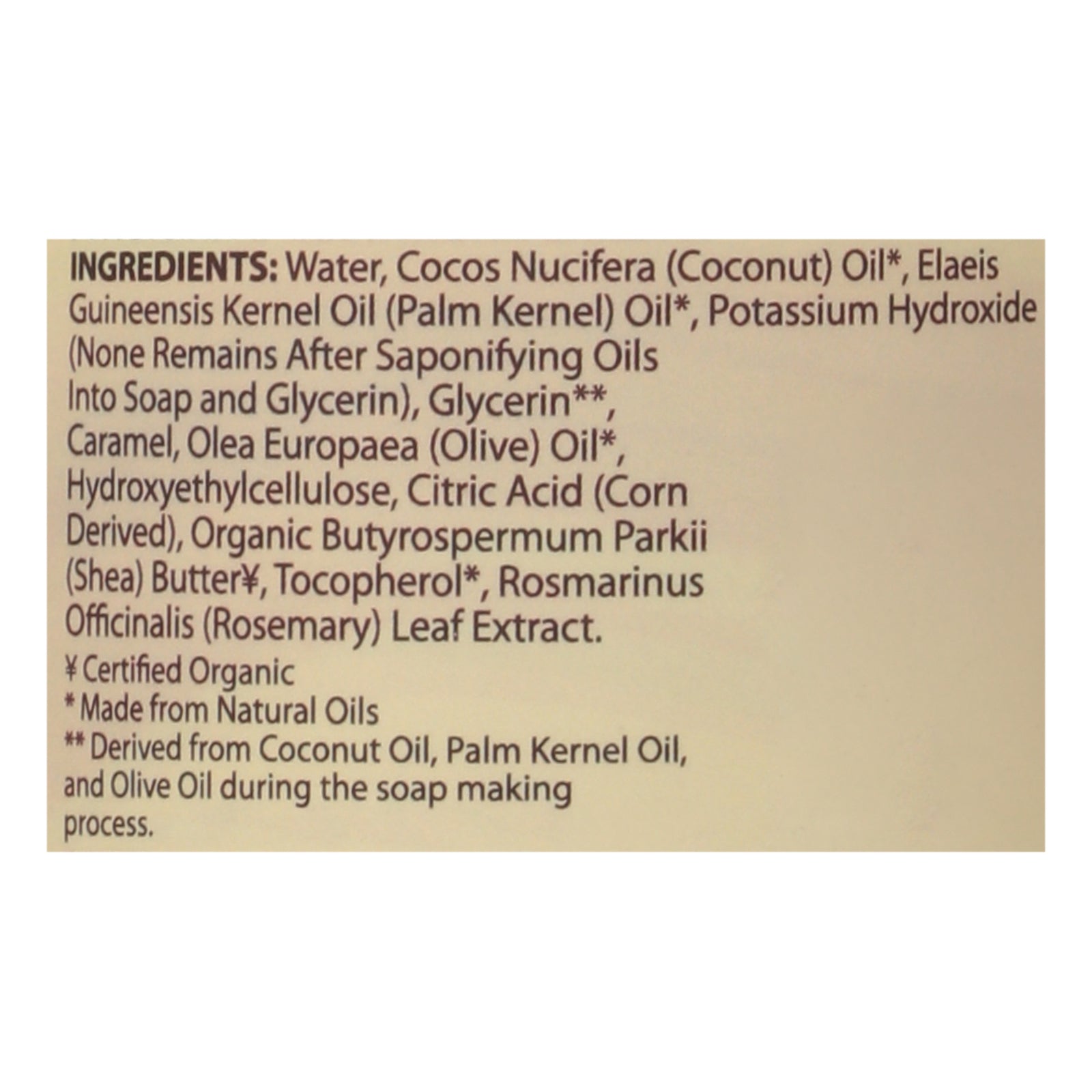 Dr. Natural - Liquid Soap Black - 1 Each 1-32 Fz